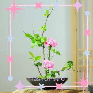 花器 水盤の通販｜au PAY マーケット