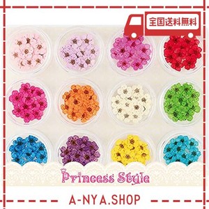 PRINCESS-STYLE ドライフラワー 上質 押し花 こでまり ネイル パーツ レジン 封入 120枚ケース入 12色×各10枚