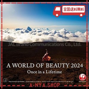 JAL「A WORLD OF BEAUTY」（普通判） 2024年 カレンダー CL24-1132