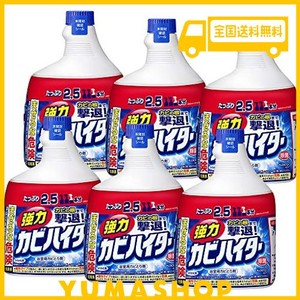 【ケース販売】強力カビハイター カビ取り剤 ハンディスプレー つけかえ 大容量 1000ml×6個