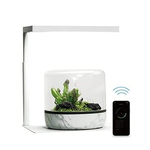 ONF 水槽 ライト LED ライト タイマー 付き アクアリウムライト 植物育成ライト 照明 適応サイズ 20 CM 25 CM 30 CM 36 CM スタンド式 淡