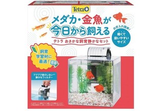 テトラ(TETRA) おさかな飼育 静かなセット PL-17SF 水槽 フィルター付き水槽セット メダカ飼育セット 金魚飼育セット アクアリウム イン