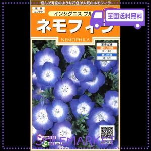 ネモフィラの通販｜au PAY マーケット