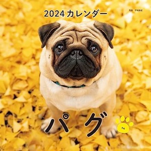 2024年カレンダー パグ (誠文堂新光社カレンダー)