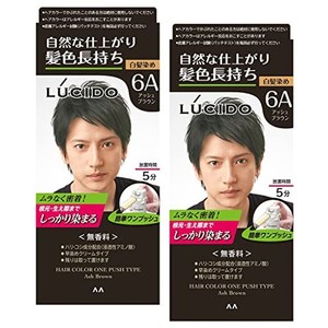 LUCIDO(ルシード) 【まとめ買い】ワンプッシュケアカラー(医薬部外品) メンズ用 ショートヘア約4回分 白髪染め 無香料 アッシュブラウン 