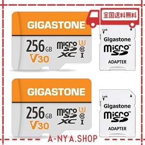 gigastone マイクロsdカード 256gb 2個セット micro sd card sdアダプタ付き u3 c10 100mb/s sdxc micro sd カード 4k ultra hd ビデオ 