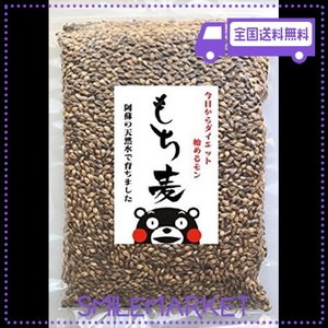 【AMAZON.CO.JP限定】 熊本産 もち麦 食物繊維 ゴボウの2倍 ダイエット 無農薬 ダイシモチ 真空パック 便利チャック付 500G