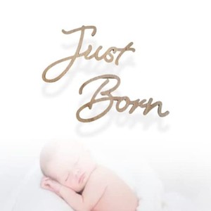 ニューボーンフォト 月齢フォト 木製 JUST BORN 月齢フォトグッズ べびーレジストリー マンスリーカード