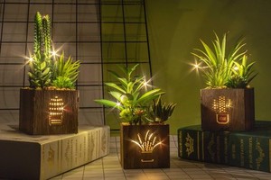 人工多肉植物 人工観葉植物三種セット 木箱にLEDライト付き 人工多肉植物 プラスチック製トピアリー 家庭・オフィス飾り用 テーブル装花 