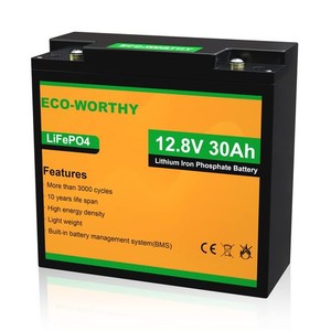 ECO-WORTHY リチウムイオンバッテリー 12V 30AH 384WH バッテリー リン酸鉄 リチウム電池 LIFEPO4 ディープサイクル 3000回 BMS保護 RV 