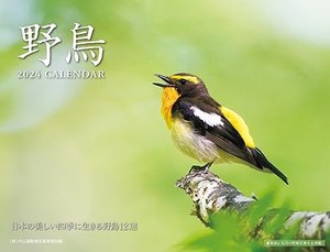 2024 野鳥カレンダー ([カレンダー])