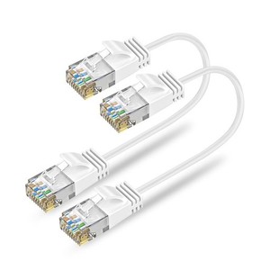 ANKULY CAT6A LANケーブル 短いランケーブル 0.3M 2本セット RJ45コネクタ 10GBPS サーバー 企業様向け 業務用 有線ケーブル 家庭用