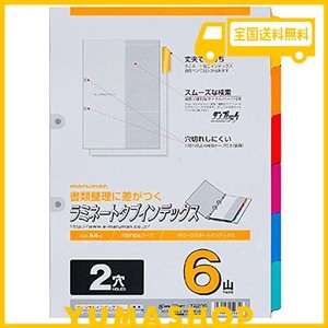 マルマン インデックス A4 2穴 インデックスシート 6山 1組 10冊 LT4206