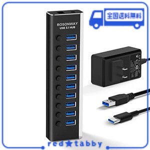 ROSONWAY USB ハブ 3.1 GEN2 10GBPS 10ポートアルミ製 36W USB HUB セルフパワー USBケーブルとTYPE Cケーブル 付き 12V/3A ACアダプタ 