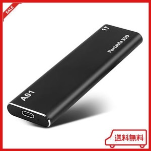 外付けSSD USB 3.0/USB3.1 GEN1高速SSD ポータブル データ保存用 PC/TV/スマホバックアップSSD 交換アダプター搭載-XF1