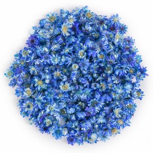DINGEE ドライフラワー 約200個入り ブルー 乾燥植物 標本花 スターフラワー レジン用 小さい 花 押し花 かわいい マルチカラー デコパー
