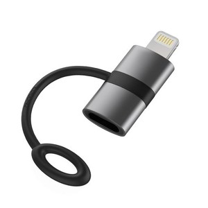 LIGHTNING USB-C 変換アダプタ USB TYPEC LIGHTNING 変換アダプタ 36W PD急速充電対応 タイプC ライトニング 変換 データ転送(IPHONEとPC