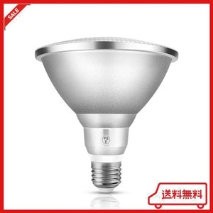 LED 電球180W 相当 LED電球PAR 38 1950 LM 6000K防水等級IP 65長寿命軽量加工PSE認証完了は中庭回廊ホテルの看板照明に適用されます球 (