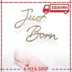 月齢フォト ニューボーンフォト 月齢フォトグッズ べびーレジストリー 木製 マンスリーカード (just born)