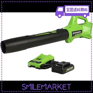 GREENWORKS 充電式 ブロワー 電動 24V 2AH USBバッテリー (USBハブ) 充電器付属 【日本正規輸入品】