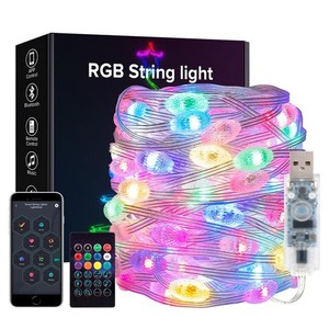 BTF-LIGHTING イルミネーションライト 10M 66LEDS 飴ボール型 フェアリーライト 虹の色 WS2812BIC USB式 DC5V クリスマス飾り IP65防水 