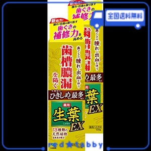 【まとめ買い】生葉EX(しょうようEX) 歯槽膿漏を防ぐ 薬用ハミガキ 和漢ハーブの香味 100G ×2個(めがねクリーナ付き)【医薬部外品】