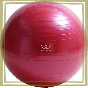 アルインコ(ALINCO) エクササイズボール55CM(ピンク) WBN055P