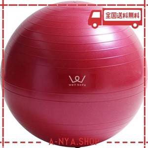 アルインコ(ALINCO) エクササイズボール55CM(ピンク) WBN055P