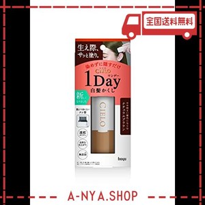 シエロ ワンデー 1DAY 白髪かくし ナチュラルブラウン お出かけ前 1日だけ染める 白髪染め ホーユー 1個 (X 1)