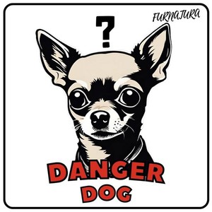 防水加工 DANGER チワワ 犬 ステッカー シール 10×10（CM） FURNATURA