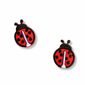 アイロンワッペン【てんとう虫 2枚セット Ladybug】アメリカ 刺繍 アップリケ 小