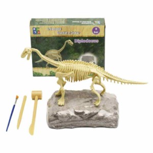 UTST 恐竜 化石発掘キット 発掘 おもちゃ 発見学習セット (ディプロドクス)