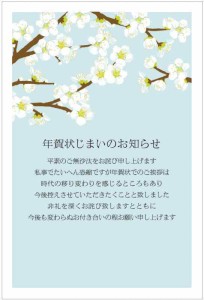 年賀状じまい 葉書 10枚 私製ハガキ〈S-NJ204 白梅〉