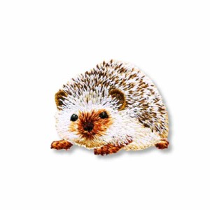 アイロンワッペン【ベビー ハリネズミ Hedgehog】アメリカ 刺繍 アップリケ 中