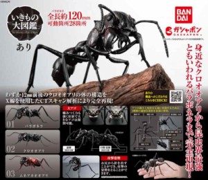 いきもの大図鑑 あり × 全3種セット フルコンプ ガチャガチャ カプセルトイ