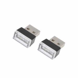 ACROPIX USB LEDライト 汎用 ネオン雰囲気 アンビエントランプ インテリア 柔軟 USB LEDライト 2個入り