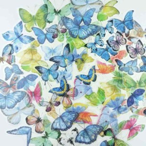 DONLAONE フレークシール 花 植物 蝶々 透明 コラージュ 素材 手帳用 デコシール かわいい ステッカー おしゃれ (蝶々)