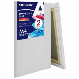 AUREUO 張りキャンバス セット 中サイズ 中目 綿化繊混紡 初心者 絵画用具 芸術絵創作 現代油絵 美術装飾 水彩画・油絵画・アクリル兼用