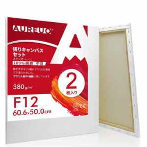 AUREUO 張りキャンバス セット 大きいサイズ 中目 100％コットン 初心者 絵画用具 芸術絵創作 現代油絵 美術装飾 水彩画・油絵画・アクリ