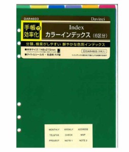 レイメイ藤井 ダヴィンチ 手帳用リフィル カラーインデックス 6区分 A5 ビビッドカラー