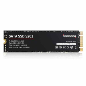 fanxiang S201 M.2 SATA SSD 2280 6Gb/秒 (1TB)