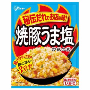 グリコ 焼豚うま塩炒飯の素 35.2g×10個