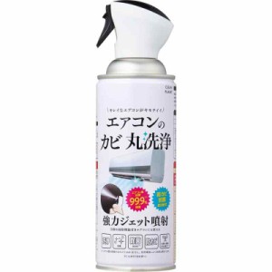 クリーンプラネット エアコンのカビ丸洗浄 1回分(420ml)