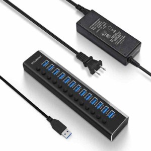 ROSONWAY USB ハブ 3.1 Gen2 10Gbps 10ポートアルミ製 36W USB HUB セルフパワー USBケーブルとType Cケーブル 付き 12V/3A ACアダプタ 