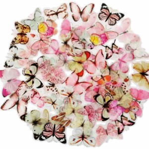 DONLAONE フレークシール 花 植物 蝶々 透明 コラージュ 素材 手帳用 デコシール かわいい ステッカー おしゃれ (白蝶々＋ピンク蝶々)