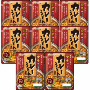 フジッコ カレーうどんの素 中辛 300g ×10個