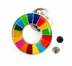 SDGs バッジ 【20ｍｍ 小さめ ミニ 社章サイズ】(1個) SDGsバッチ ピンバッジ ピンバッチ 国連 UN バッヂ 国連本部最新仕様 sdgs エスデ