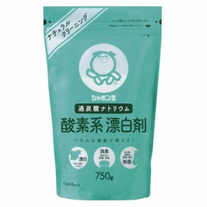 酸素系漂白剤 ７５０Ｇ × 10点