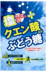 大丸本舗 塩クエン酸入りぶどう糖 (2g×20入)×10袋