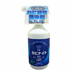 HIYU 乳酸カビナイトST スプレーボトル 450ml